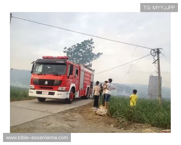 注册老虎机送开户金198，加入我们享受专属开户礼金轻松赢取大奖